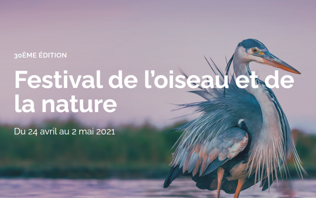 Notre partenariat avec le Festival de l’oiseau et de la nature